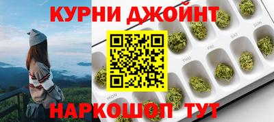 прущие грибы Будённовск