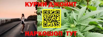 прущие грибы Будённовск