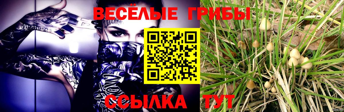 Ростов-на-Дону  Галлюциногенные грибы GOLDEN TEACHER  Вход с VPN 